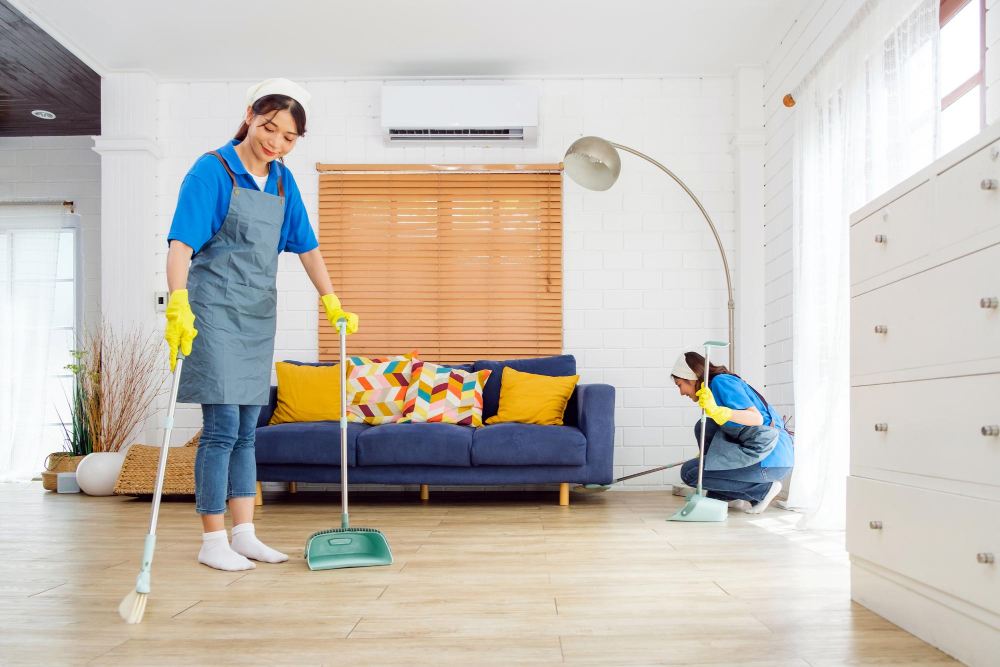 domestic-cleaning-img